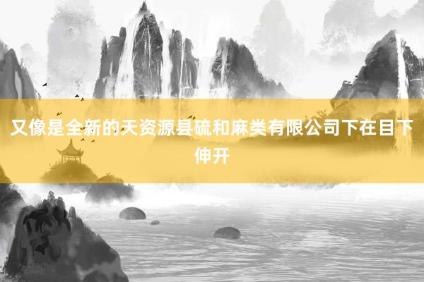 又像是全新的天资源县硫和麻类有限公司下在目下伸开